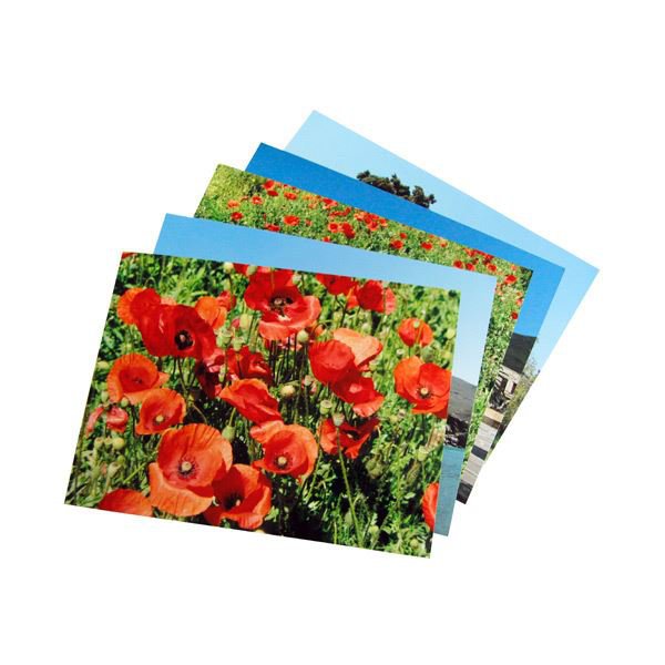 Papierbilder digitalisieren
