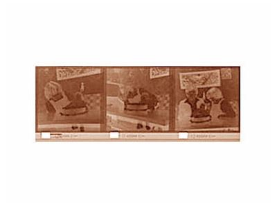 Instamatic-Filme (Typ 126) digitalisieren